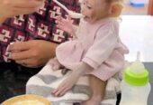 Capuchin Babies Monkeys for Rehoming