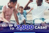 Make As Much Money As You Can With Fast Cash Loans Online