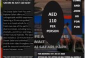 Tickets to places in dubai and abu dhabi