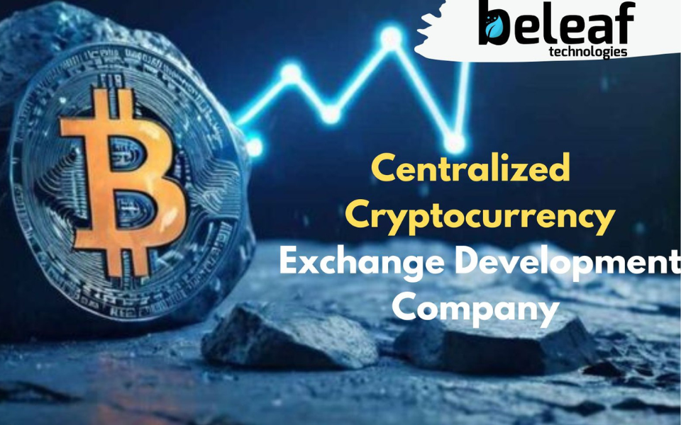Centralized cryptocurrency exchange development