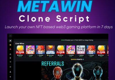Metawin-clone-script