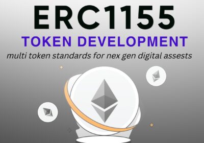 erc-1155-token-development