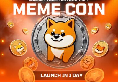 launch-a-meme-coin-in-1-day