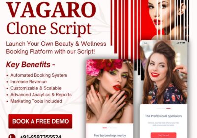 vagaro-clone-script