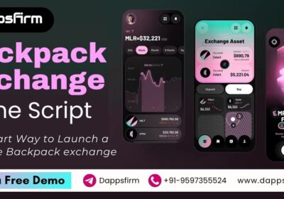 Backpack-exchange-clone-Script-blog
