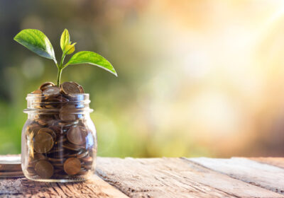Investment-policy_800x450_0