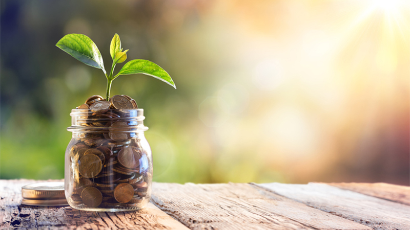Potential Investor Looking for a Business Partner