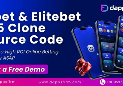1xbet-elitebet-365-clone-source-code-1-min