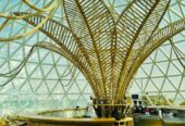 Top 10 Luxury Hotels in Dubai | Dubai Mangrove Resort Price