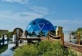 Top 10 Luxury Hotels in Dubai | Dubai Mangrove Resort Price