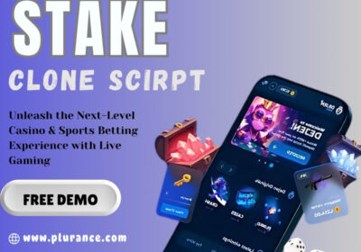 stake-script-1