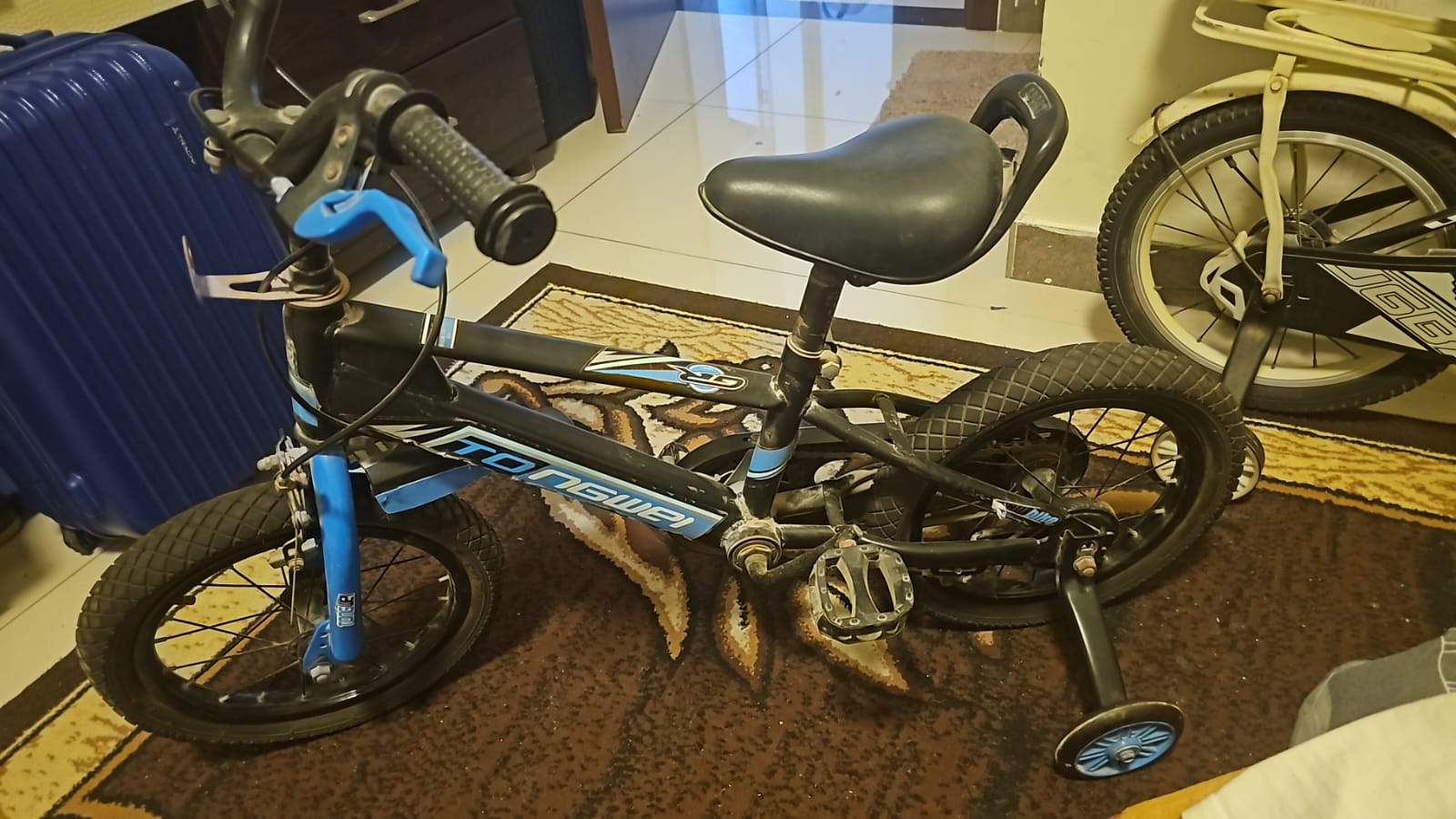 All types of electric scooter and bycycle repairing