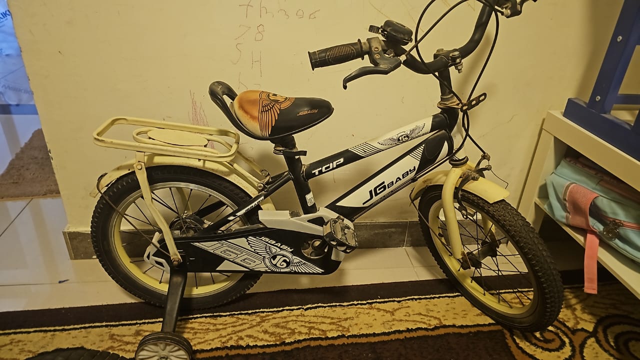 All types of electric scooter and bycycle repairing