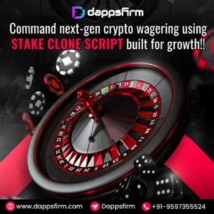 stake-clone-script-1