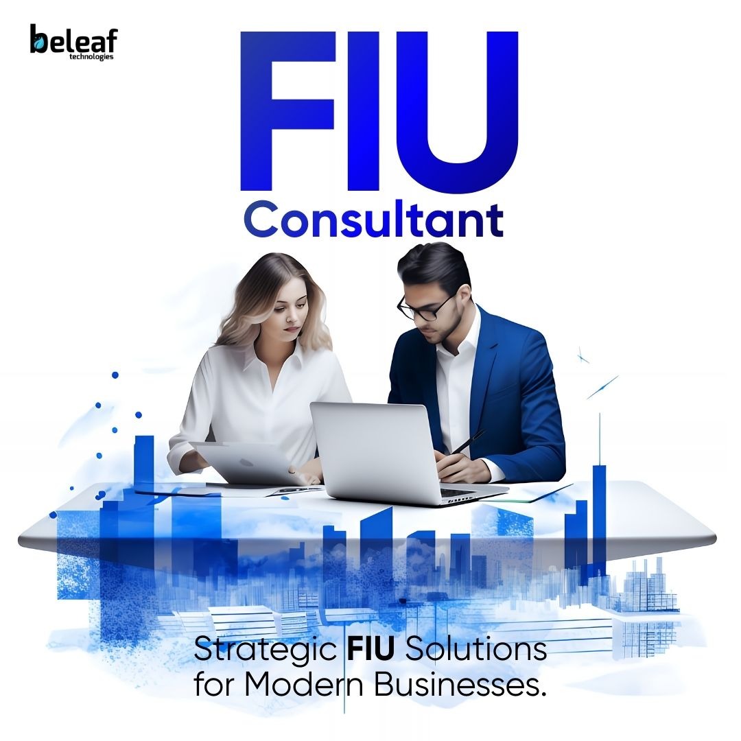FIU Consultant: The Backbone of Strong Financial Governance