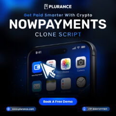 nowpayments-clone-script
