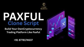 PAXFUL-clone-script